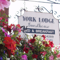 York Lodge Guest House York
